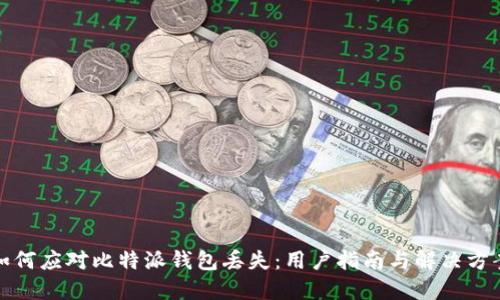 如何应对比特派钱包丢失:用户指南与解决方案