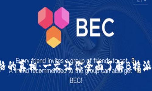 揭开B特派价格的真相：一文让你全面了解B特派的费用与价值