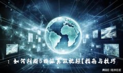 : 如何判断B特派真假视频？指南与技巧
