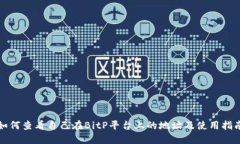 如何查看自己在BitP平台上的地址及使用指南