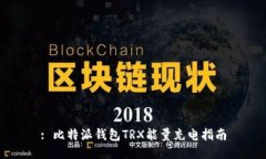 : 比特派钱包TRX能量充电指南