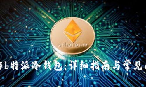 如何制作b特派冷钱包:详细指南与常见问题解答