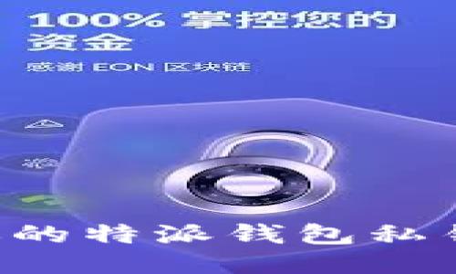 如何保护你的特派钱包私钥,避免被盗