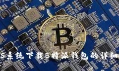 : iOS系统下载B特派钱包的详细指南