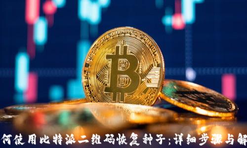 如何使用比特派二维码恢复种子:详细步骤与解析