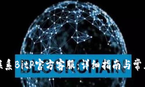 如何联系BitP官方客服：详细指南与常见问题