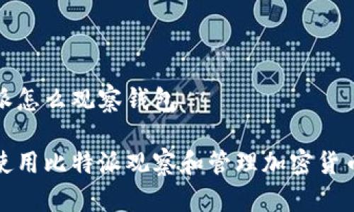 比特派怎么观察钱包

如何使用比特派观察和管理加密货币钱包