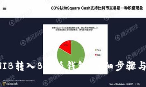 怎样把SHIB转入B特派钱包：详细步骤与注意事项