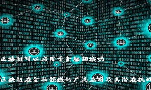 区块链可以应用于金融领域吗


区块链在金融领域的广泛应用及其潜在挑战