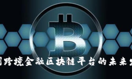 : 探讨衢州跨境金融区块链平台的未来发展与机遇