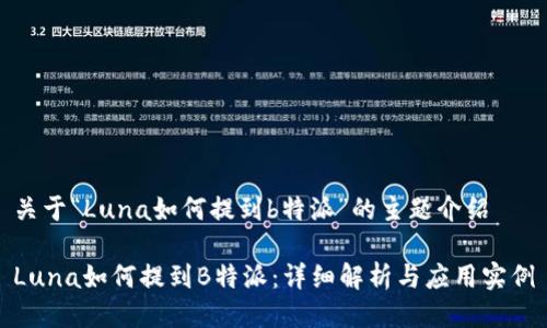 关于“Luna如何提到b特派”的主题介绍

Luna如何提到B特派：详细解析与应用实例