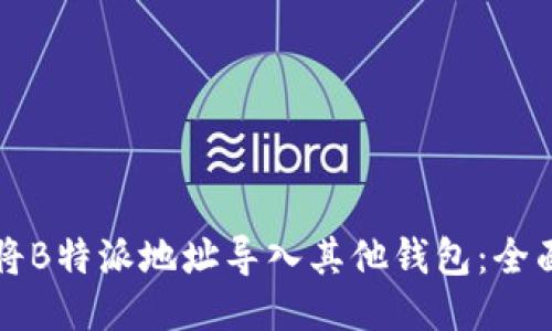 如何将B特派地址导入其他钱包：全面指南