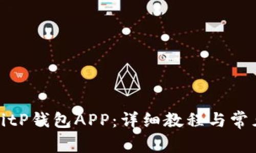 如何安装BitP钱包APP：详细教程与常见问题解答