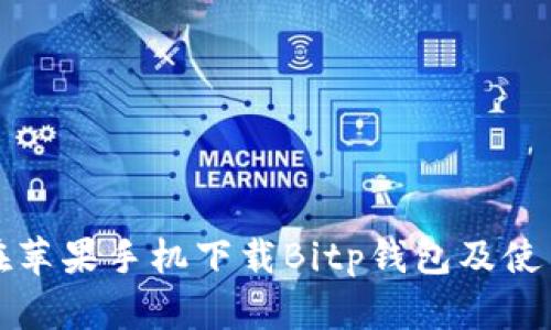 如何在苹果手机下载Bitp钱包及使用指南