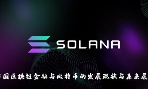 中国区块链金融与比特币的发展现状与未来展望