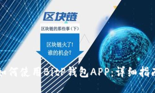 如何使用BitP钱包APP：详细指南