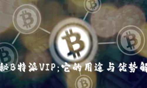 探秘B特派VIP：它的用途与优势解析