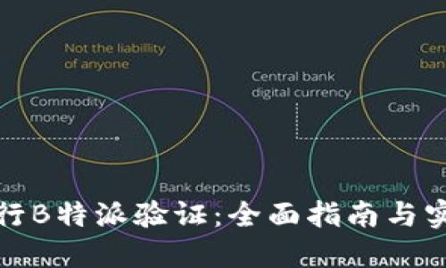 如何进行B特派验证：全面指南与实用技巧