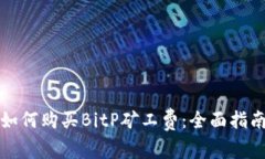 如何购买BitP矿工费：全面指南