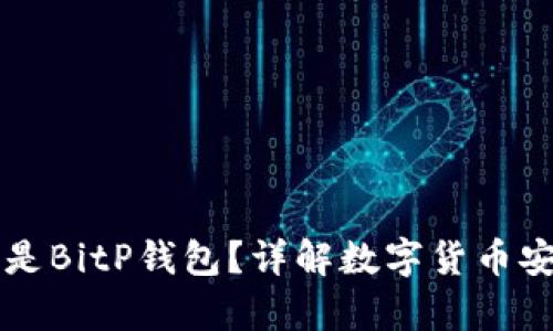 ### 什么是BitP钱包？详解数字货币安全存储工具