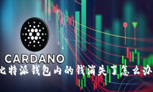 比特派钱包内的钱消失了怎么办？