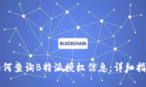 如何查询B特派授权信息：详细指南
