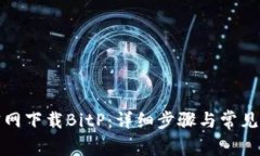 如何从官网下载BitP：详细步骤与常见问题解答