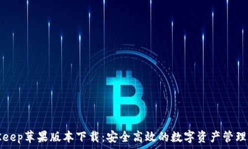  
BitKeep苹果版本下载：安全高效的数字资产管理工具