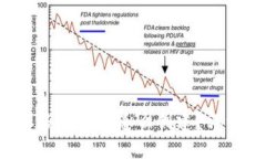b特派多签钱包怎么创建？详细指南