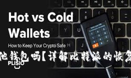 比特派能恢复其他钱包吗？详解比特派的恢复功能与操作步骤