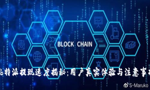  “b特派提现速度揭秘：用户真实体验与注意事项”