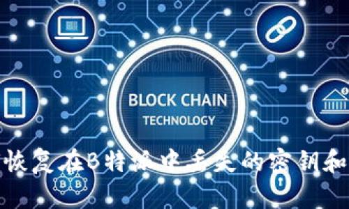 如何恢复在B特派中丢失的密钥和资金