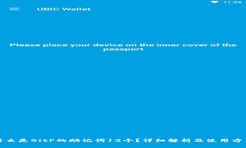 什么是BitP的助记词12个？详细解析及使用方法