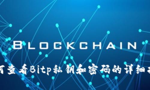 如何查看Bitp私钥和密码的详细指南