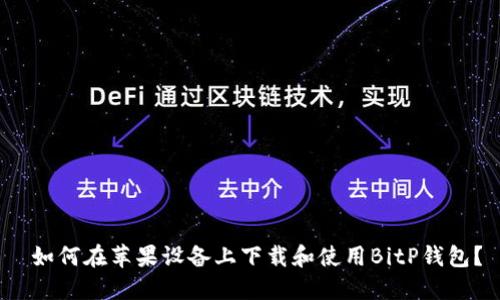  如何在苹果设备上下载和使用BitP钱包？