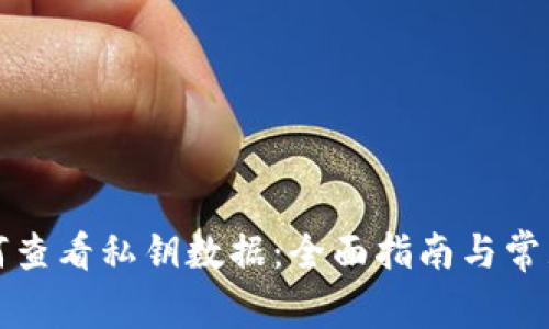 比特派如何查看私钥数据:全面指南与常见问题解答