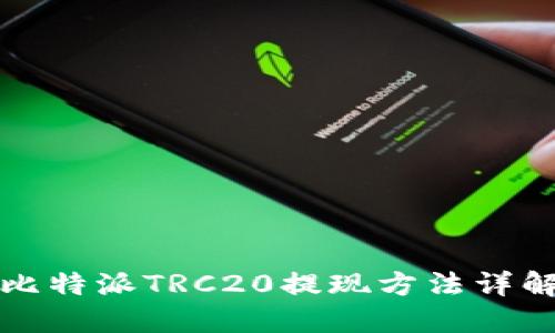 比特派TRC20提现方法详解