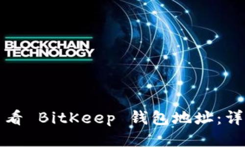 如何查看 BitKeep 钱包地址:详细指南