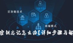 Bitpie密钥忘记怎么办？详细步骤与解决方案