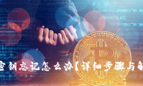 Bitpie密钥忘记怎么办?详细步骤与解决方案