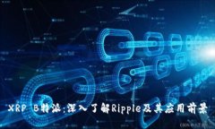 XRP B特派：深入了解Ripple及其应用前景