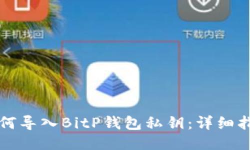 如何导入BitP钱包私钥:详细指南