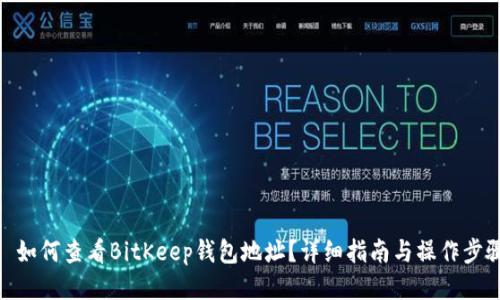 : 如何查看BitKeep钱包地址？详细指南与操作步骤