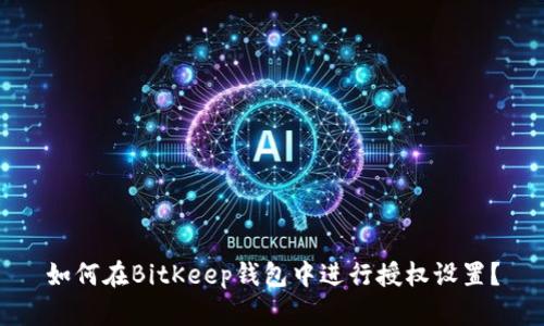 如何在BitKeep钱包中进行授权设置?