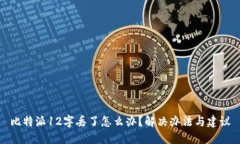 比特派12字丢了怎么办？解决办法与建议