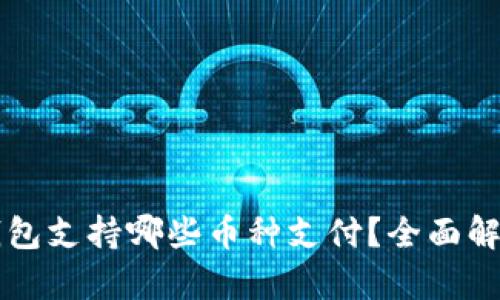 比特派钱包支持哪些币种支付？全面解析与指南