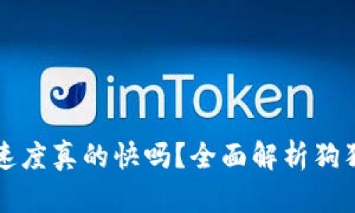 狗狗币转账速度真的快吗？全面解析狗狗币交易效率