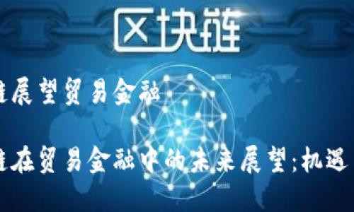 区块链展望贸易金融
区块链在贸易金融中的未来展望:机遇与挑战