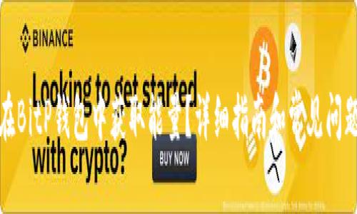 如何在BitP钱包中获取能量？详细指南和常见问题解答