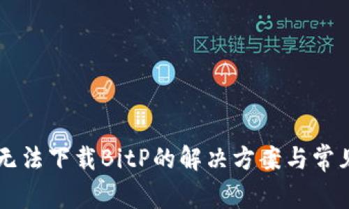 苹果手机无法下载BitP的解决方案与常见问题解析